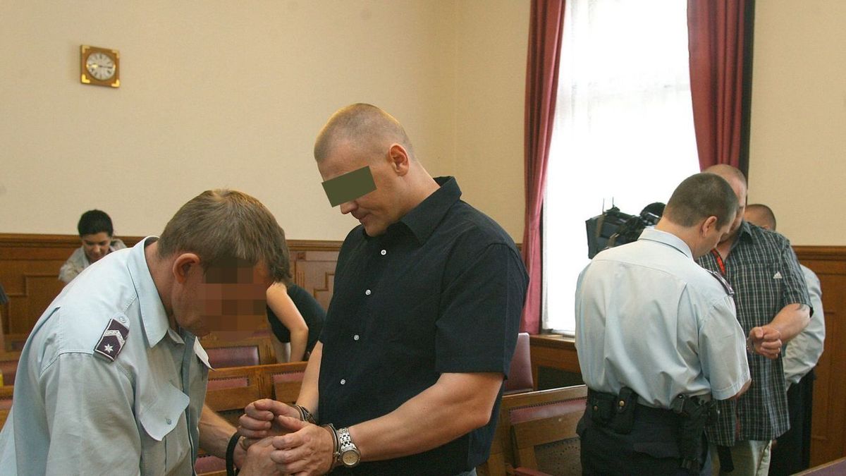 Kiengedték a fegyházból az egyik legbrutálisabb sorozatrablót