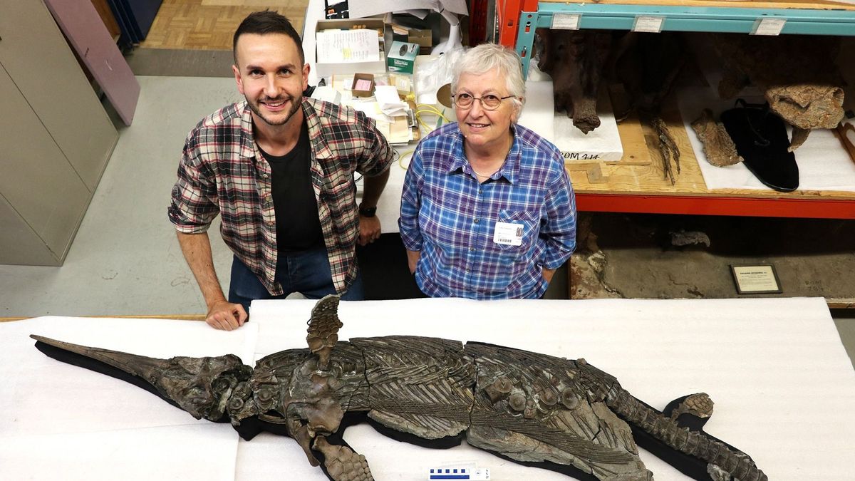 Eddig soha nem ismert dinoszauruszfajra bukkantak