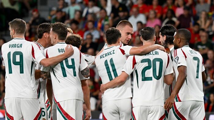 Labdarúgó vb-selejtezők - Portugália-Magyarország