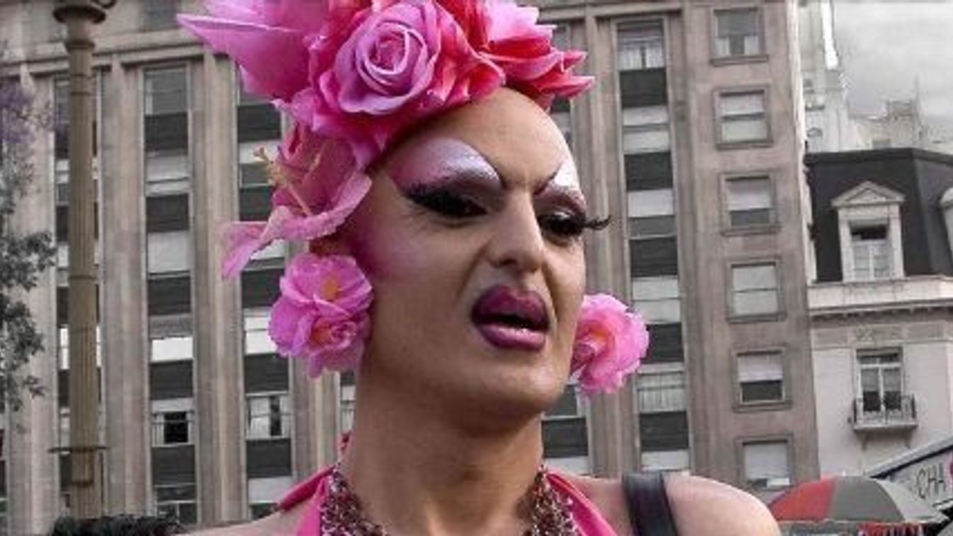 Cikk kép: undefined