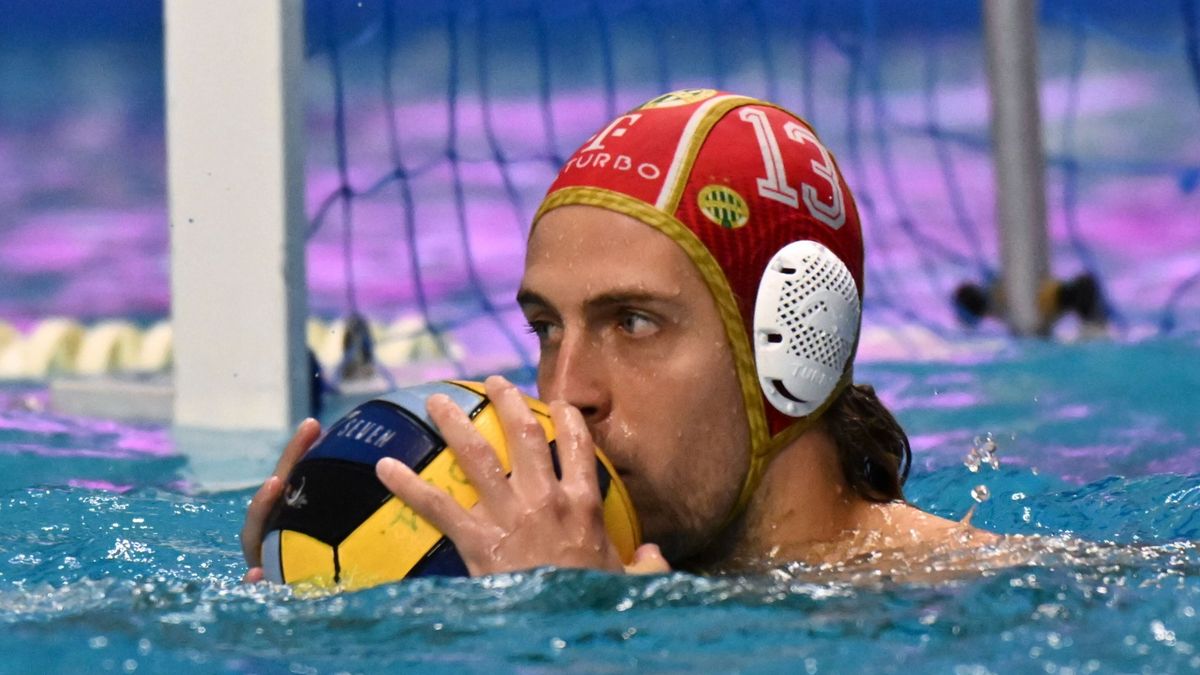 Vogel Soma