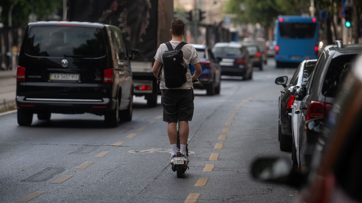 Őzzel ütközött egy rolleres, egyikük sem élte túl a balesetet + videó