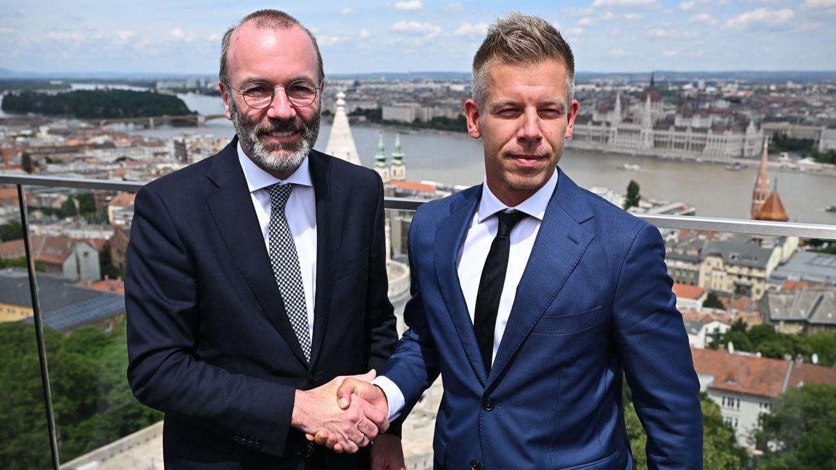 President of the centre-right European People's Party (EPP) Manfred Weber  (L) shakes hands with leader of Hungarian Tisza party and former government member turned opposition leader Peter Magyar during a meeting on top of a Budapest's hotel in Hungary on June 14, 2024. Weber arrived to Budapest about the accession of the seven elected members of the European Parliament of the Tisza party. (Photo by Attila KISBENEDEK / AFP)