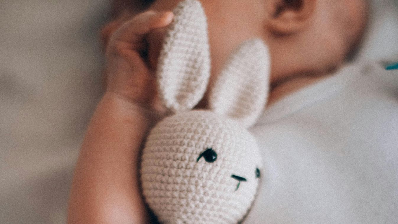 gyerek, csecsemő, nyuszi