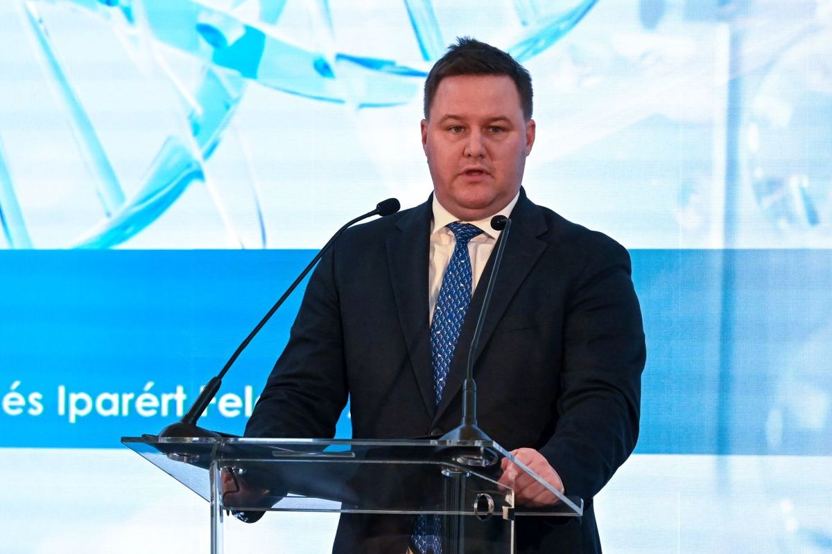 Lóga Máté, a Nemzetgazdasági Minisztérium gazdaságfejlesztésért és iparért felelős államtitkára beszédet mond a Magyarországi Gyógyszergyártók Országos Szövetsége (MAGYOSZ) 35 éves jubileumi ünnepségén a budapesti Haris Parkban