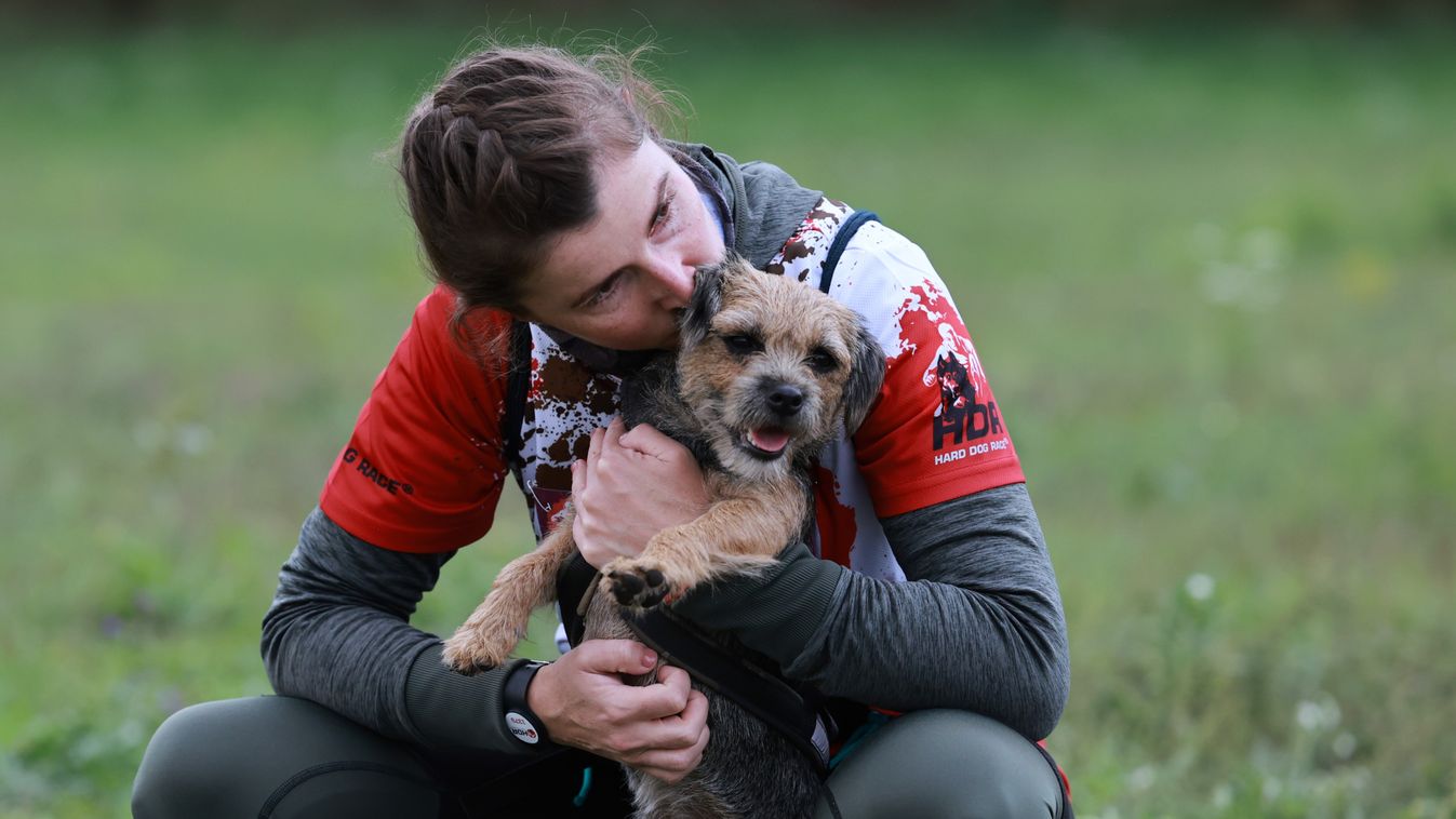 Cikk kép: undefined