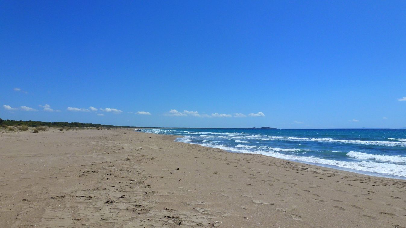 Mi rejlik a tengerek és óceánok mélyén?