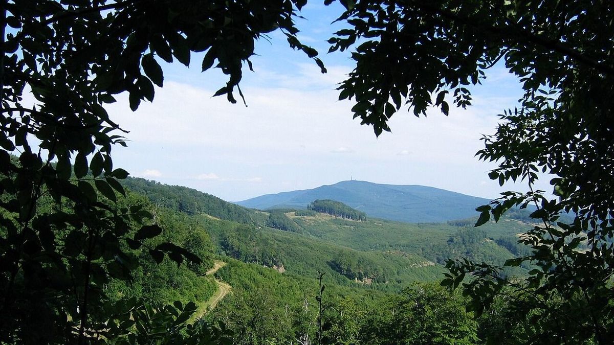 A Mátra elképesztő élő kövülete, amiből nincs még egy a világon