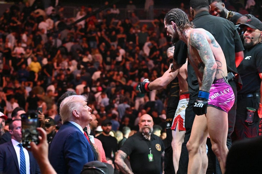 Donald Trump gyakran feltűnik MMA-rendezményeken