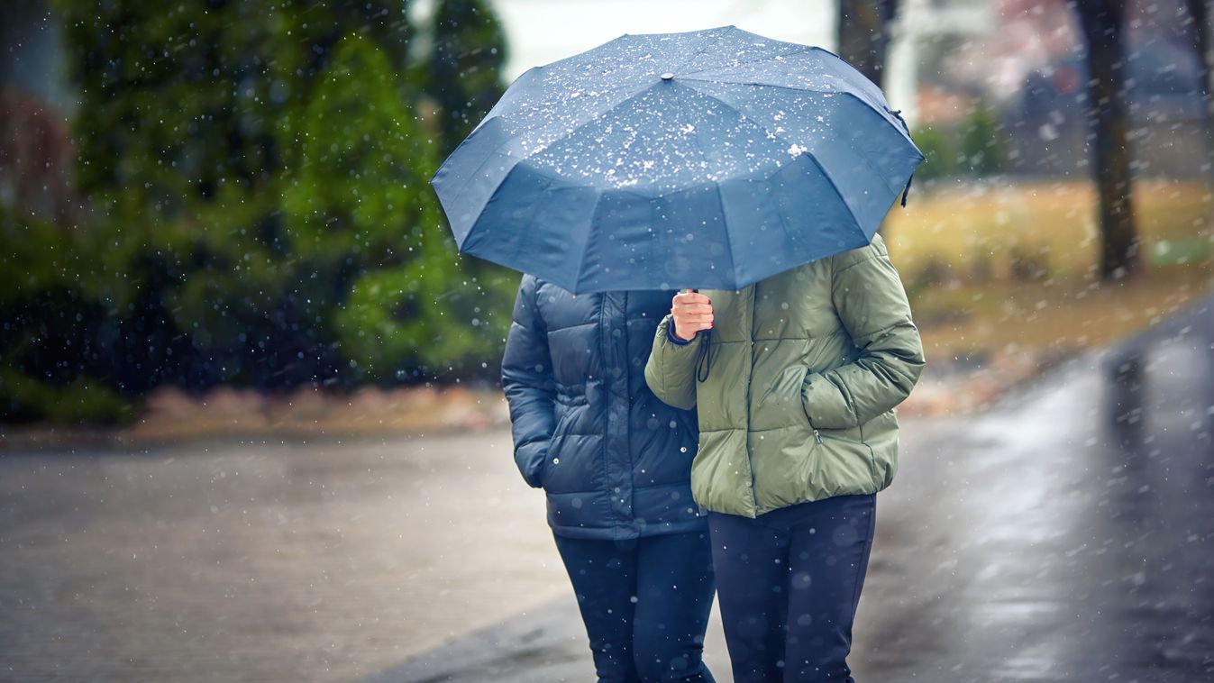 Two mid aged women walking under umbrella during snowfall in city street, Selective focus. Female friends with one umbrella in cold  snowy winter season walking on street. Couple under umbrella
2100130807