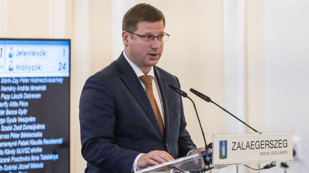 Gulyás Gergely: Folytatni kell a megyei jogú városok fejlesztéssorozatát + videó