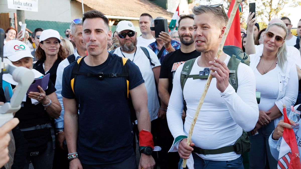 Radnai Márk fejét vennék a Tisza Pártban