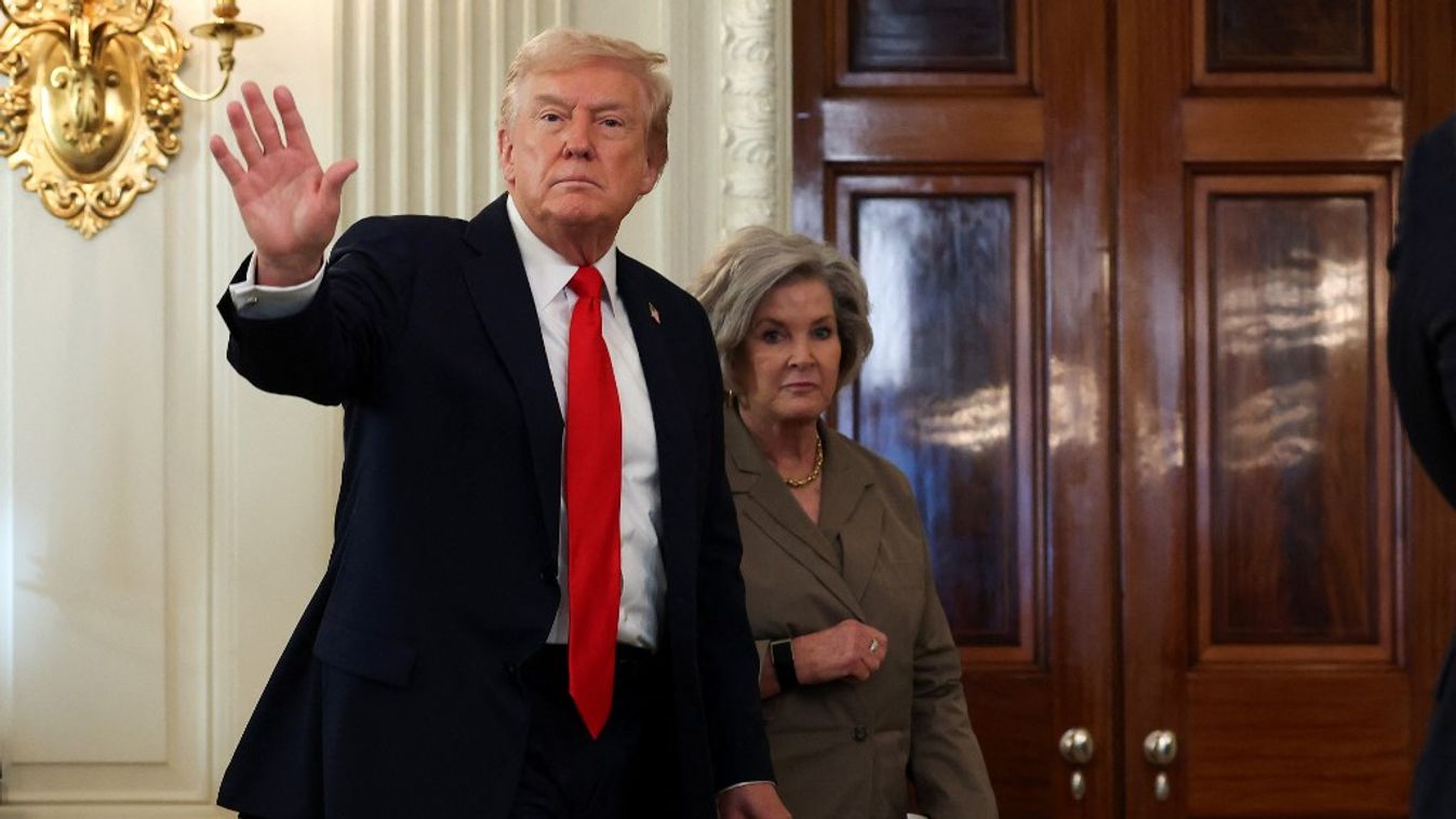 Donald Trump amerikai elnök (Fotó: AFP)