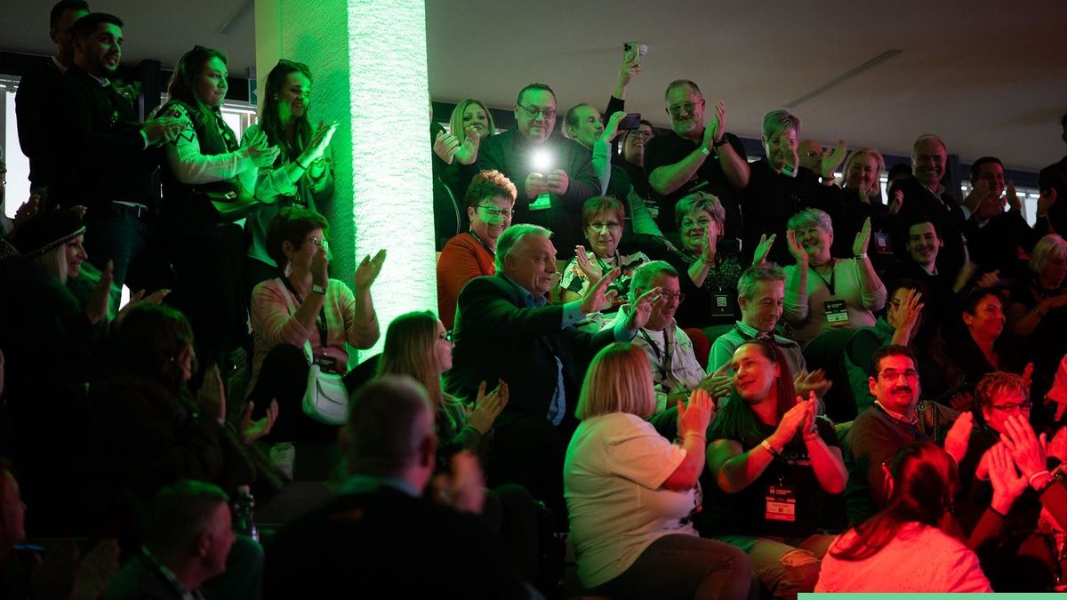 A tiszás kamuprofilokkal képtelenség lenne edzőtábort tartani