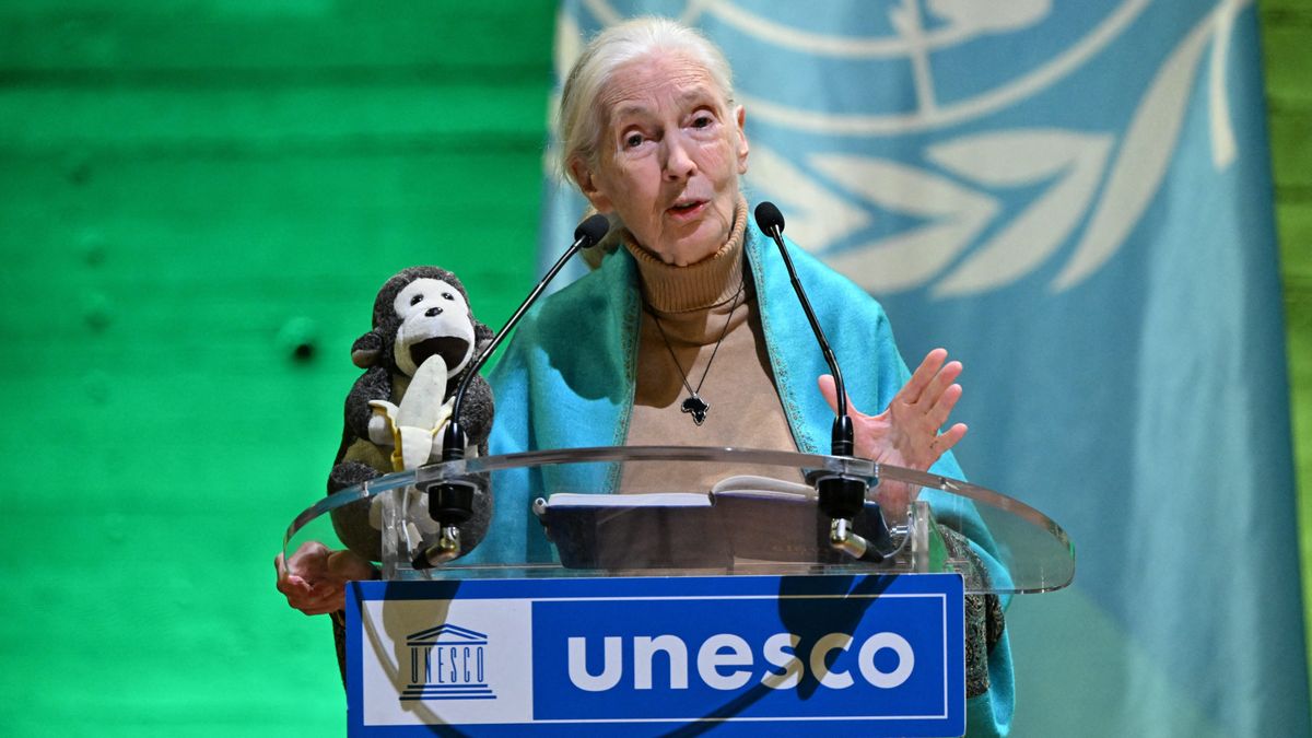 Meghalt Jane Goodall