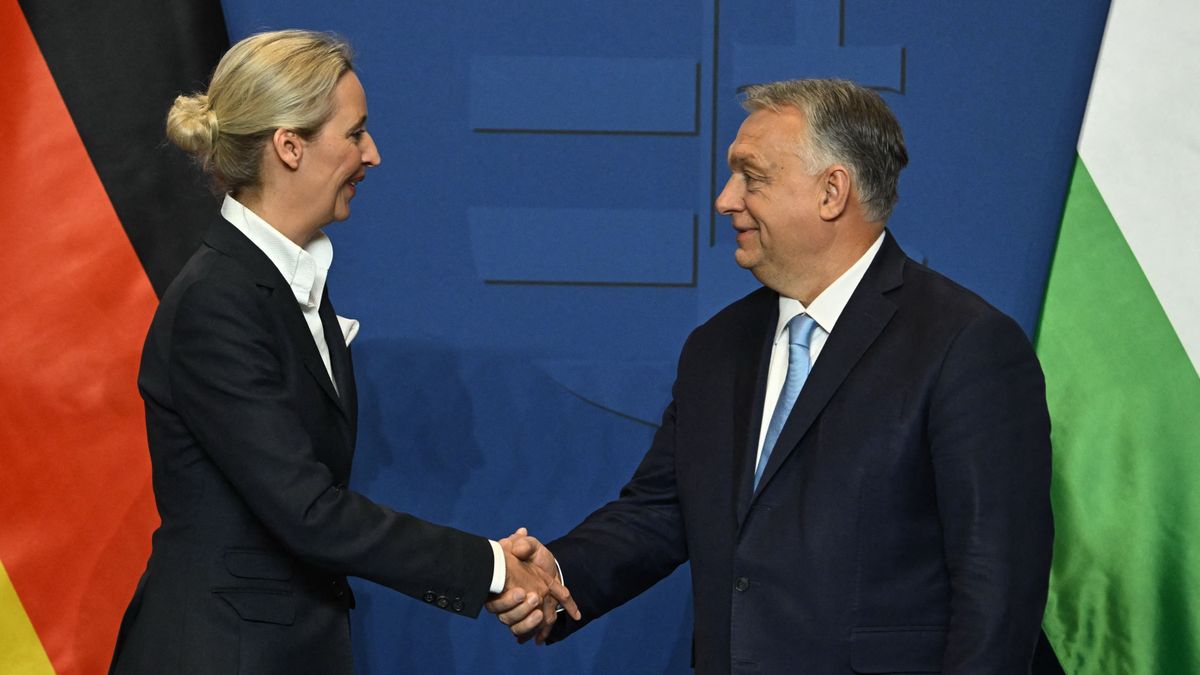Orbán Viktor miniszterelnök Alice Weidellel tárgyalt