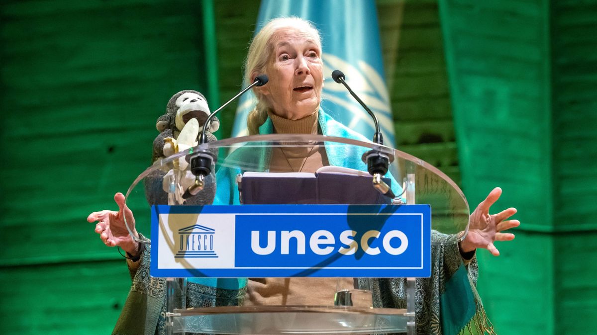Ez okozta Jane Goodall halálát