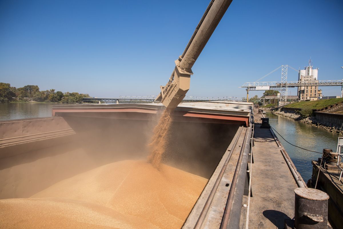 Baja  dunai kikötő teherszállítás árúfuvarozás hajó uszály bárka közlekedés búza gabona  2016 09 26  Fotó: Kállai Márton, gabonaexport