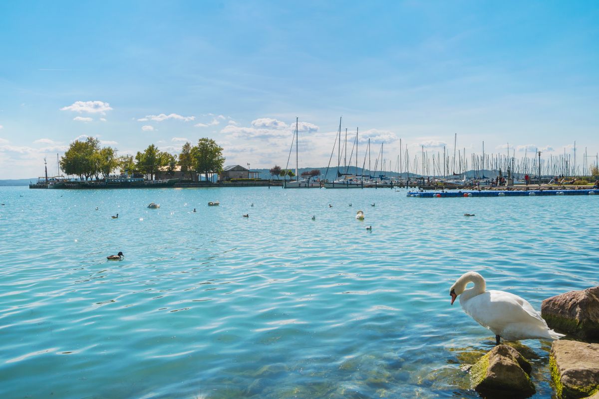 Port of Balatonfured and Lake Balaton with boats and birds in Hungary