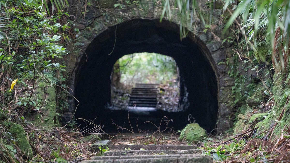 Gyerekek raboltak gyerekektől Borsodban, az egyik még harapott is