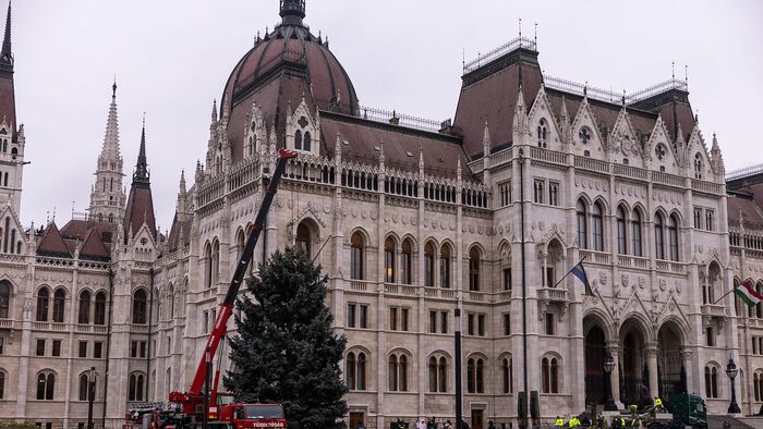 Budapest, 2025. november 24. Az ország karácsonyfája megérkezik az Országház előtti Kossuth térre 2025. november 24-én. A 31 felajánlás közül az Országgyűlés Hivatala az ibrányi, hozzávetőleg 23 méter magas 40 esztendős ezüstfenyőt talált a legszebbnek. 