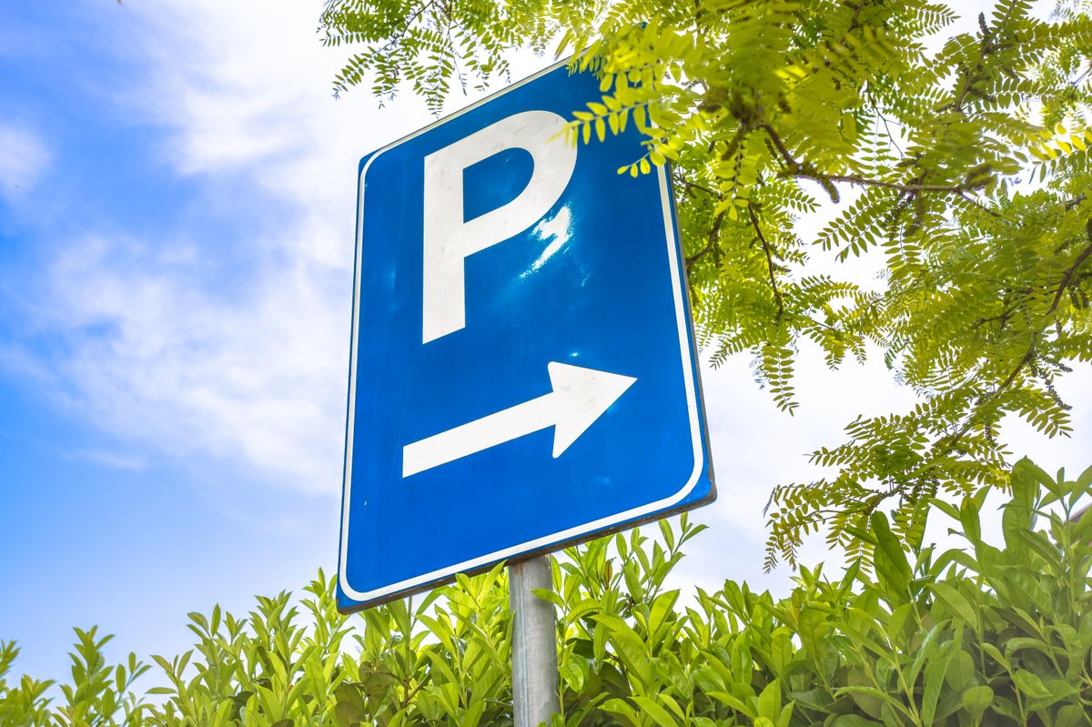 Free parking signal. Next to it, tree and hedge. Bottom view.