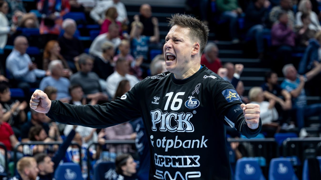 Nehéz szavakat találni Mikler Roland teljesítményére, tizenkilenc védést mutatott be 52 perc alatt.