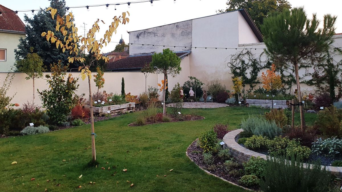 A kecskeméti vendéglátás ragyogó ékköve a Bazsalikomos kert