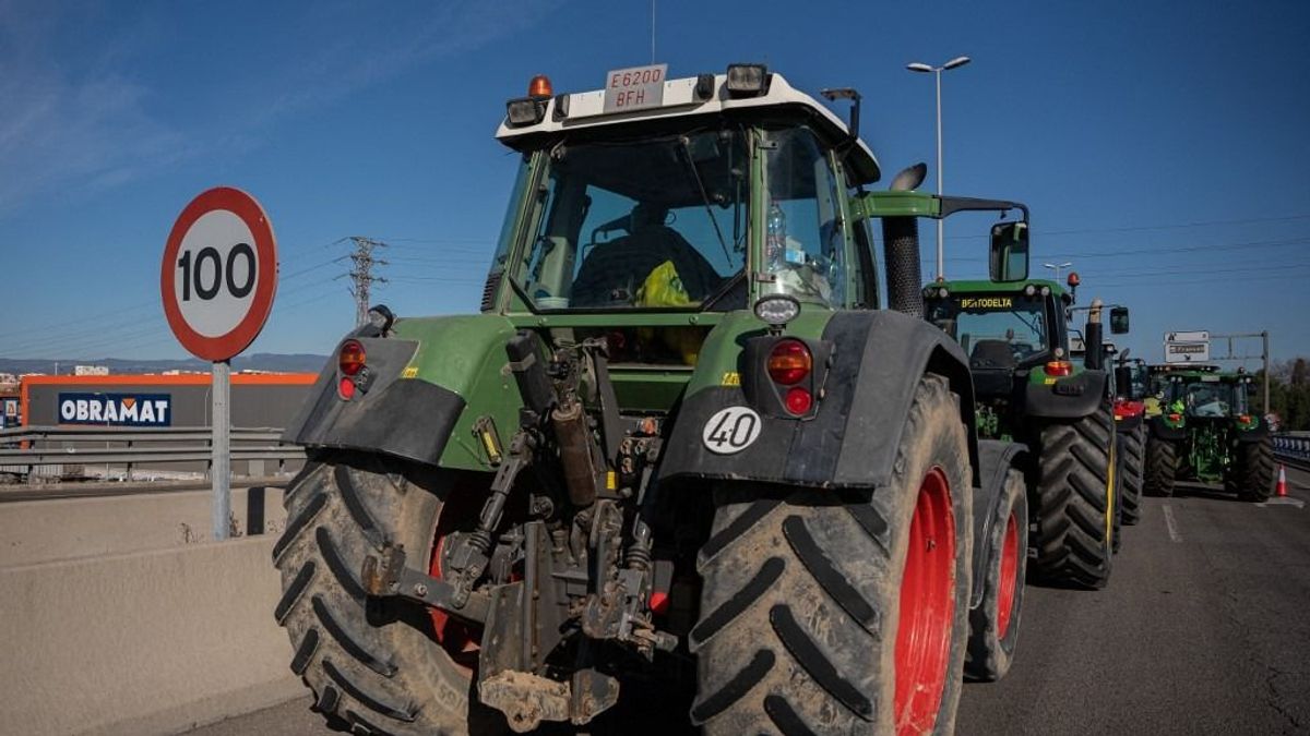 Rengeteg pénzt spórolhatnak a gazdák a közös agrárpolitika egyszerűsítésével
