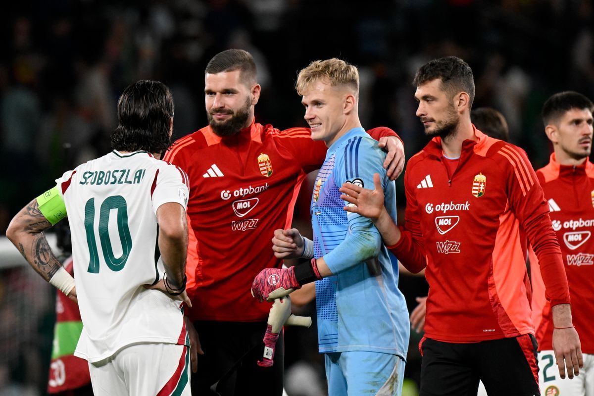 Tóth Balázs bizonyított a válogatott kapujában  (Fotó: MTI/Szigetváry Zsolt)