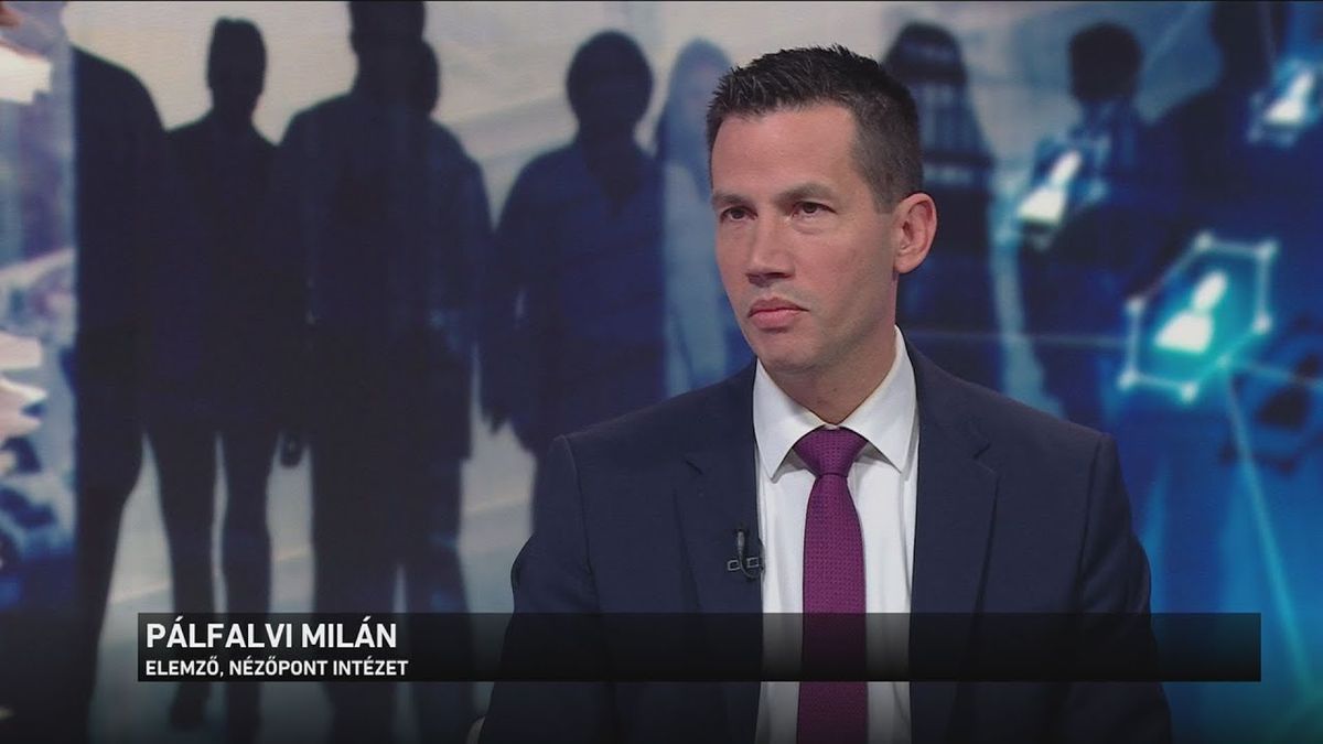 Pálfalvi Milán, Nézőpont Intézet, Magyar péter, Tisza Párt, jelöltállítás