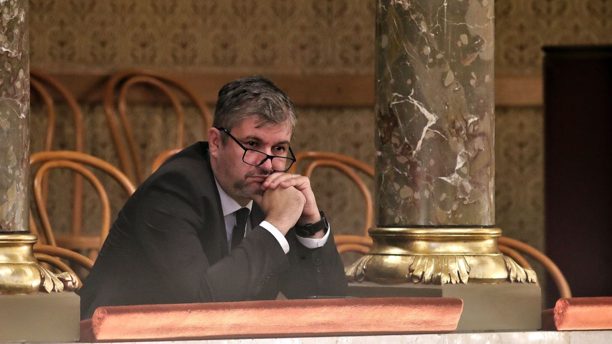 Árad a sárga irigység
