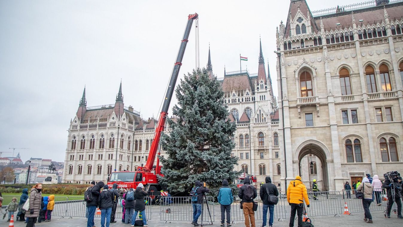 Díszítésre készen áll az ország karácsonyfája + videó