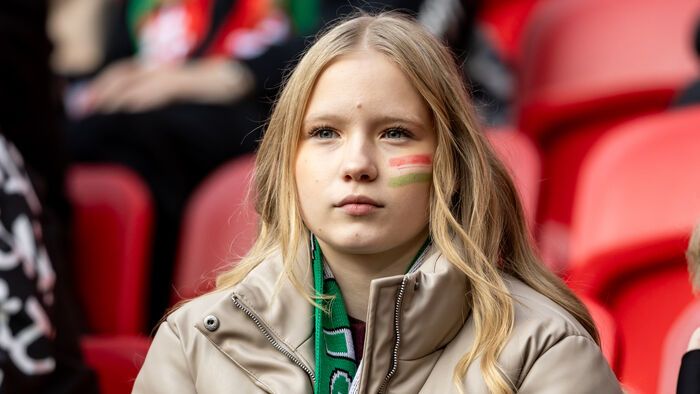 Magyarország - Írország
magyar válogatott mérkőzés