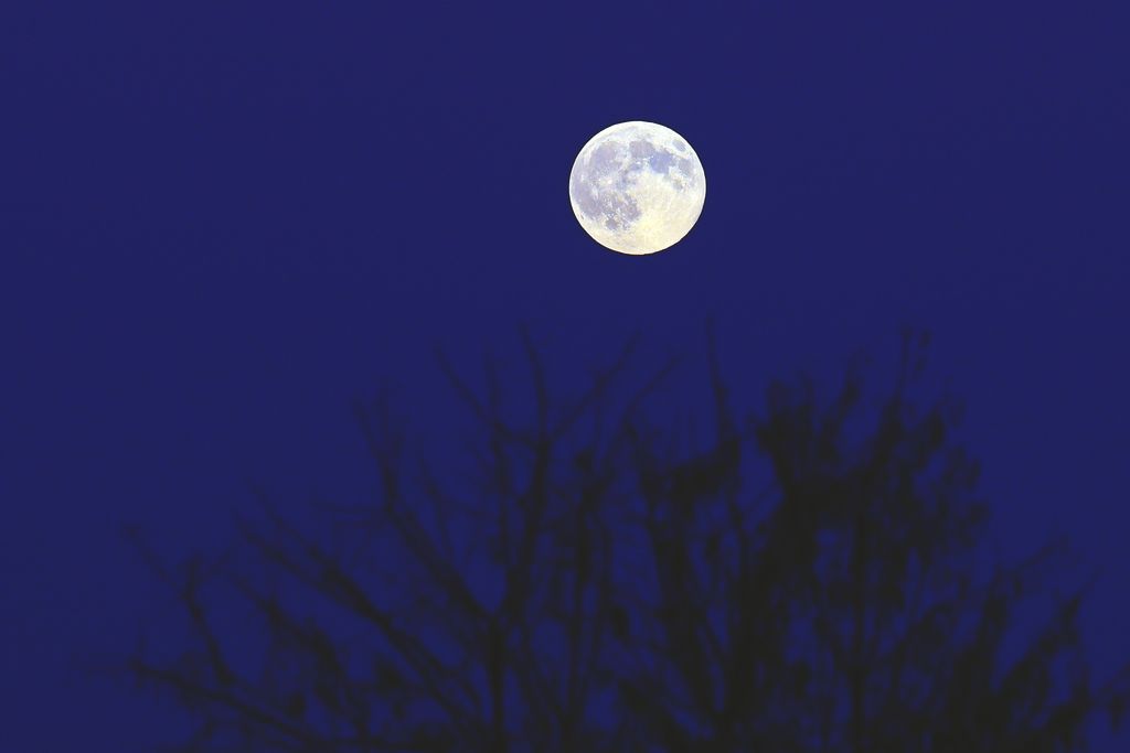 20251005 pest megye delegyhazi tavak vizibivaly naplemente szuper telehold havran zoltan magyar nemzet