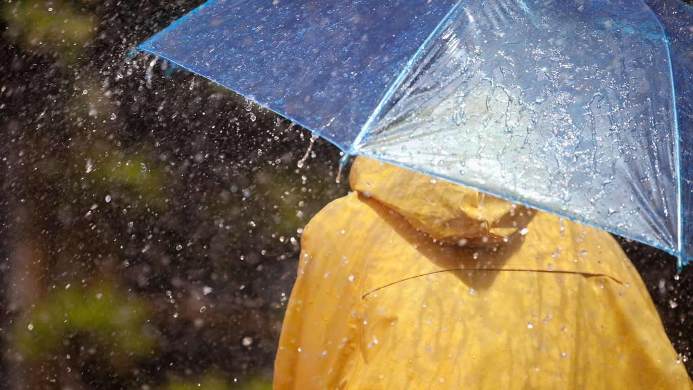 Woman under umbrella in rain
Shutterstock
