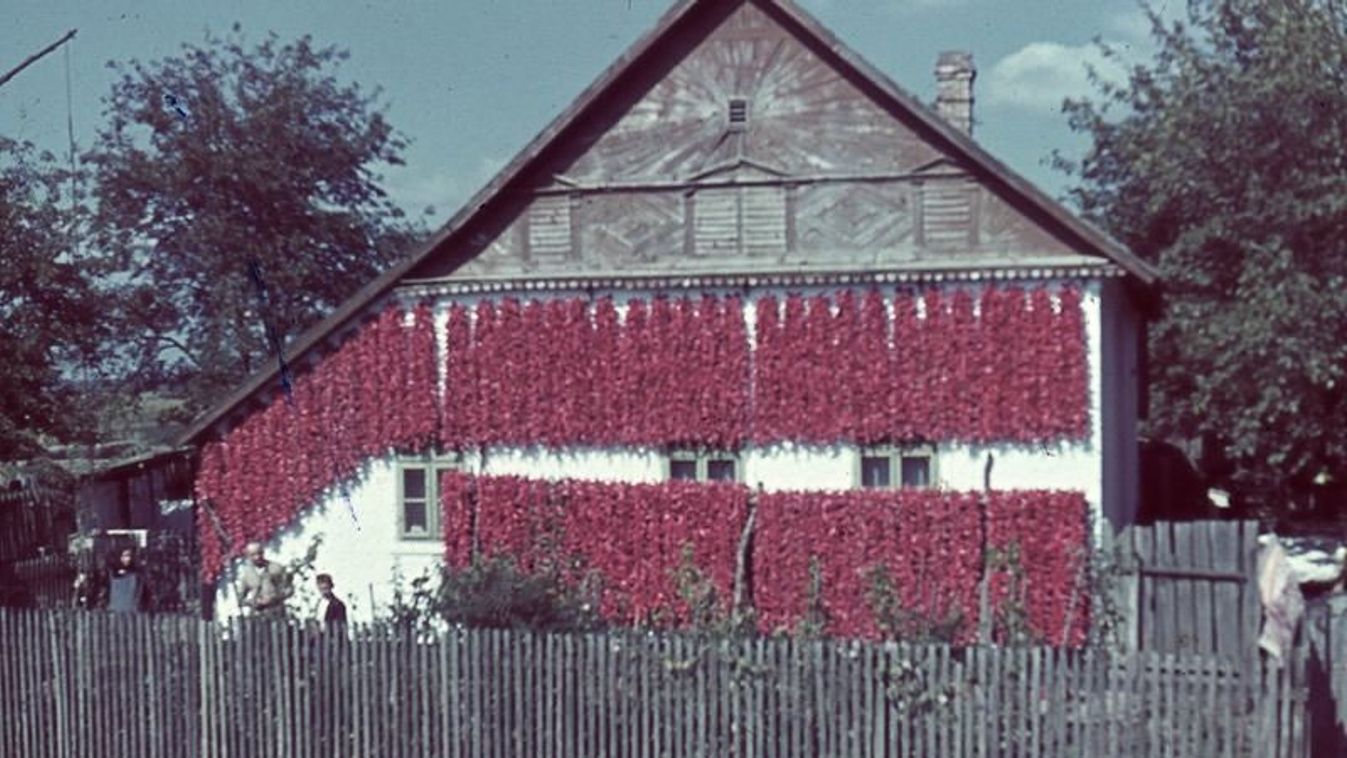 pirospaprika, paprikafűzér, napsugaras ház, Szeged, néprajz