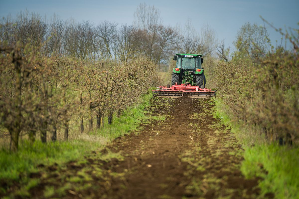 kezdő gazda fizetés