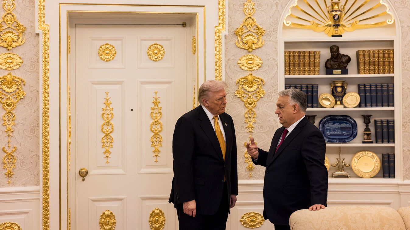 Cikk kép: undefined