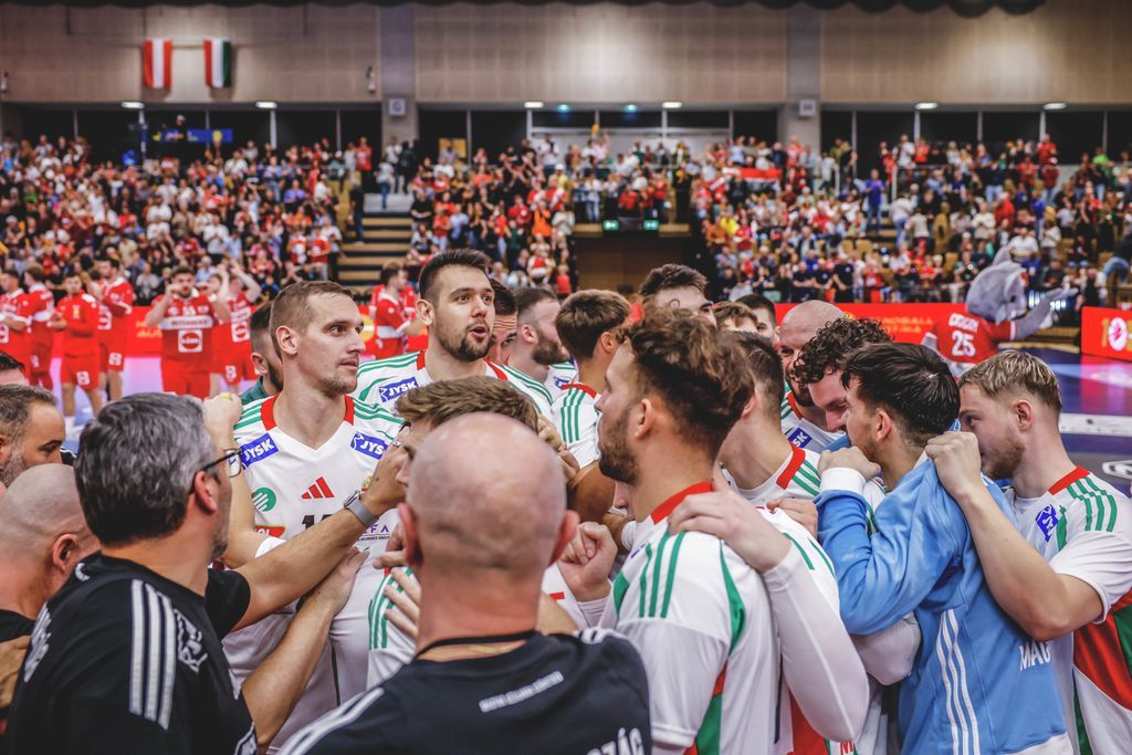 Az osztrák meccsen ugyan döcögött a magyar férfikézilabda-válogatott játéka, de úgy tűnik jó úton jár a megfiatalított csapat