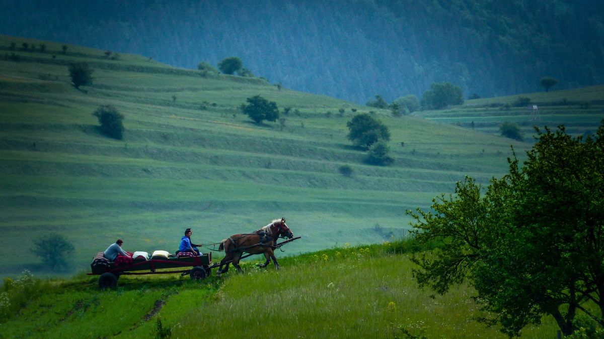 A határon túli magyarokról és a hűtőszekrényről