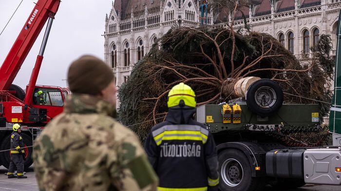 Budapest, 2025. november 24. Az ország karácsonyfája megérkezik az Országház előtti Kossuth térre 2025. november 24-én. A 31 felajánlás közül az Országgyűlés Hivatala az ibrányi, hozzávetőleg 23 méter magas 40 esztendős ezüstfenyőt talált a legszebbnek. 