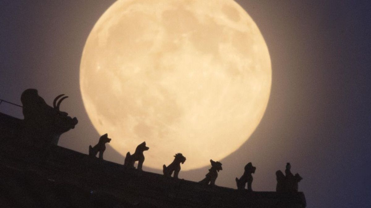 Kína mindenből üzletet csinál, még az idősekből is