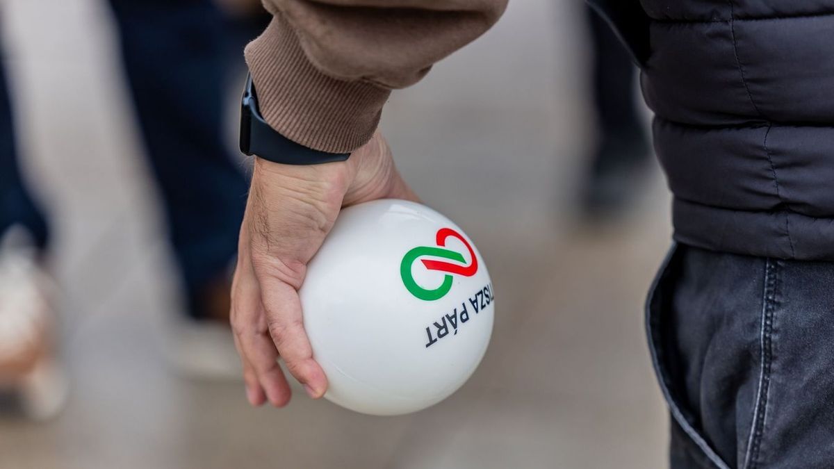 Puzsér Róbert, Magyar Péter