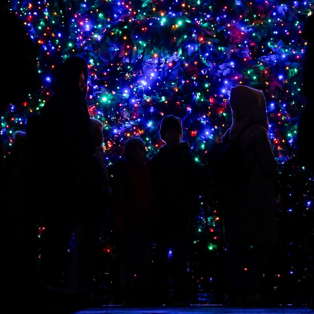 Advent - Felkapcsolták a fényfüzért az ország karácsonyfáján