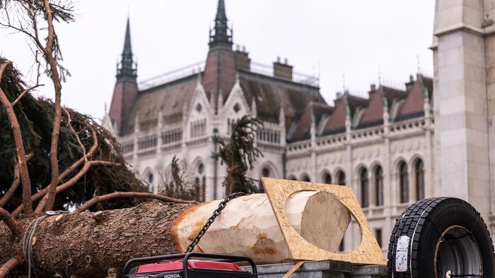 Budapest, 2025. november 24. Az ország karácsonyfája megérkezik az Országház előtti Kossuth térre 2025. november 24-én. A 31 felajánlás közül az Országgyűlés Hivatala az ibrányi, hozzávetőleg 23 méter magas 40 esztendős ezüstfenyőt talált a legszebbnek. 
