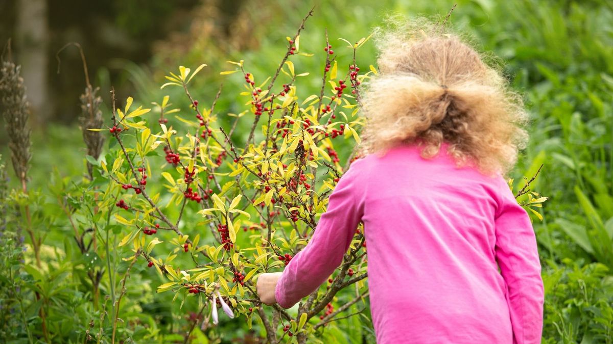 Most mindent megtudhat a mérgező növényekről: fontos egészségügyi adatbázis vált elérhetővé