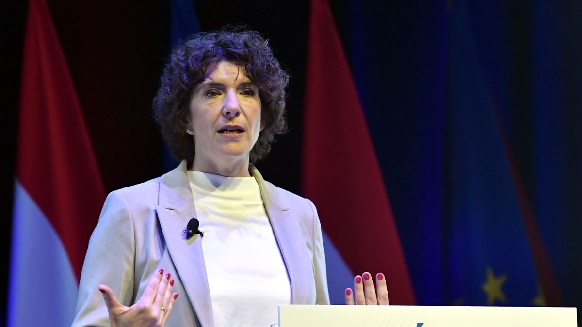 Kocsis Máté: Menni kell, Klára!