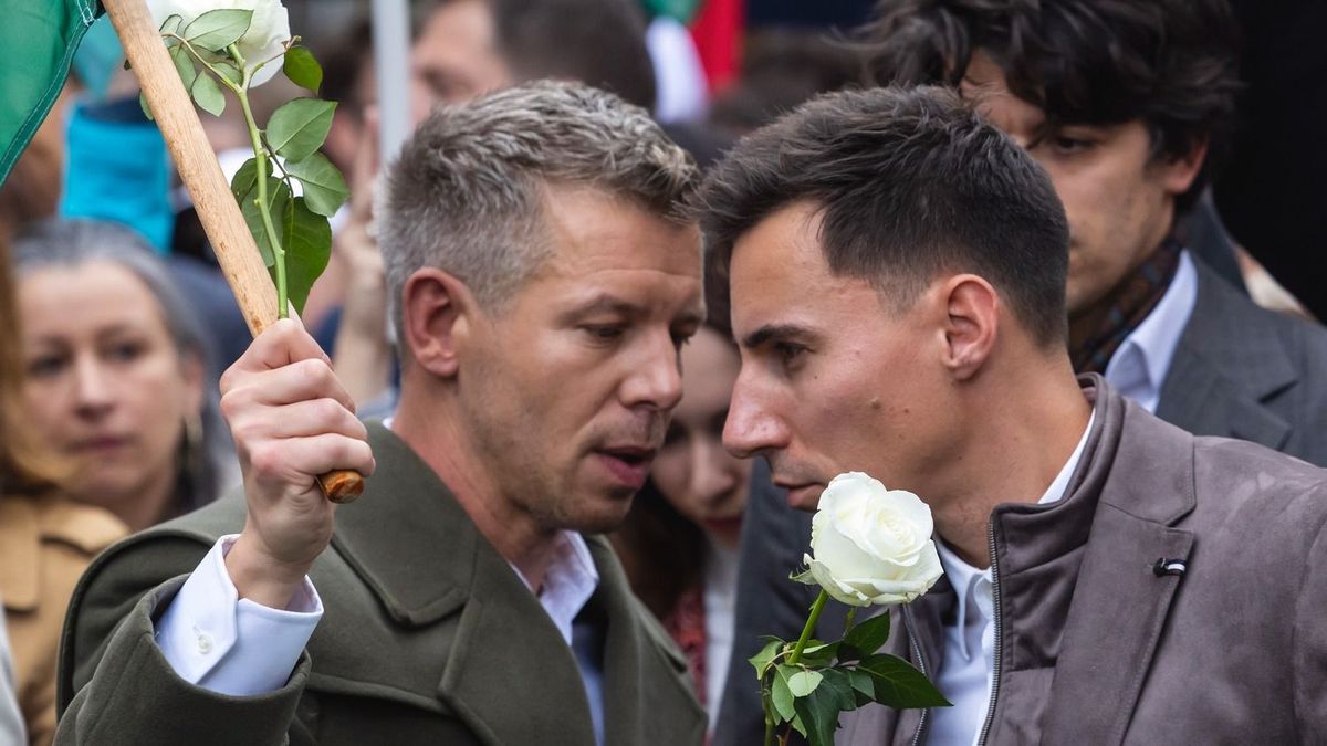 Nem a Tisza Pártnak van ukrán applikációja, hanem az ukránoknak magyar pártjuk