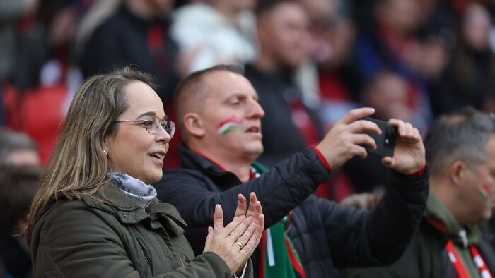 Magyarország - Írország
magyar válogatott mérkőzés